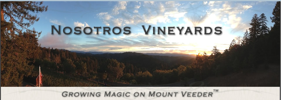 Nosotros Vineyards - Growing Magic in Mount Veeder